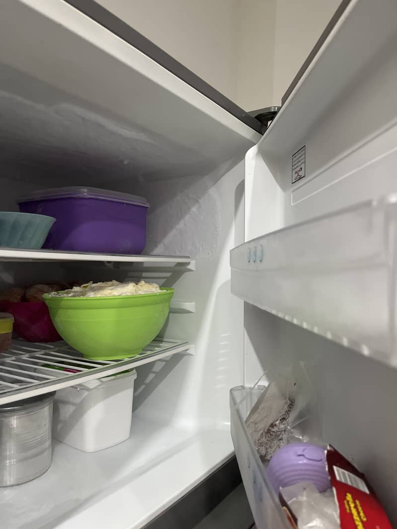 Fridge 1