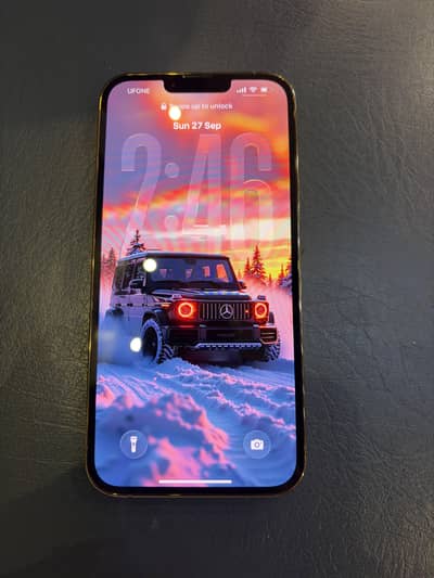Apple iPhone 13 Pro Max