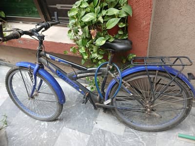 thunder 26 inch bicycle