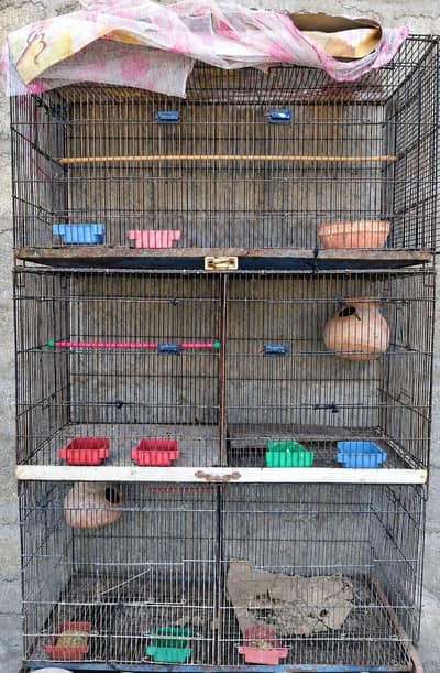 6 PORTION FOLDING CAGE FOR SALE