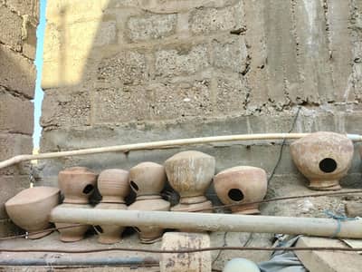 bird matkiya boxs