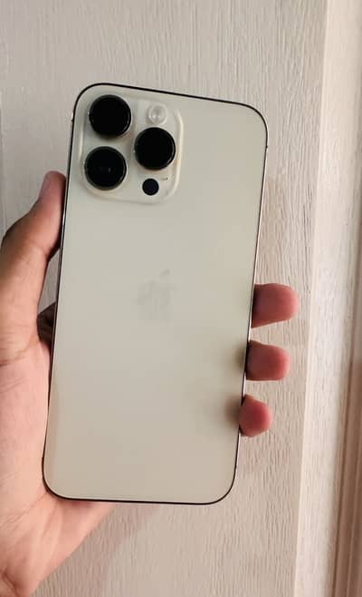 iPhone 14 Pro Max waterpack 100 health 10/10