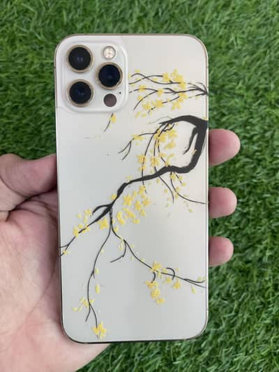 Apple iPhone 12 Pro dual physical HK pta 88 health