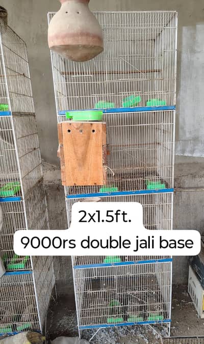 Birds cages
