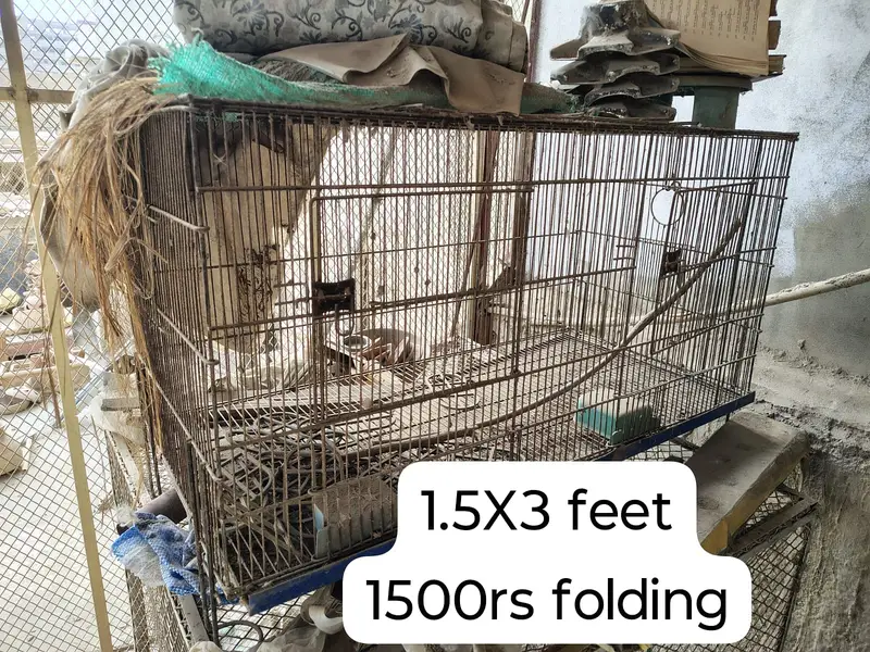 Birds cages — photo 2