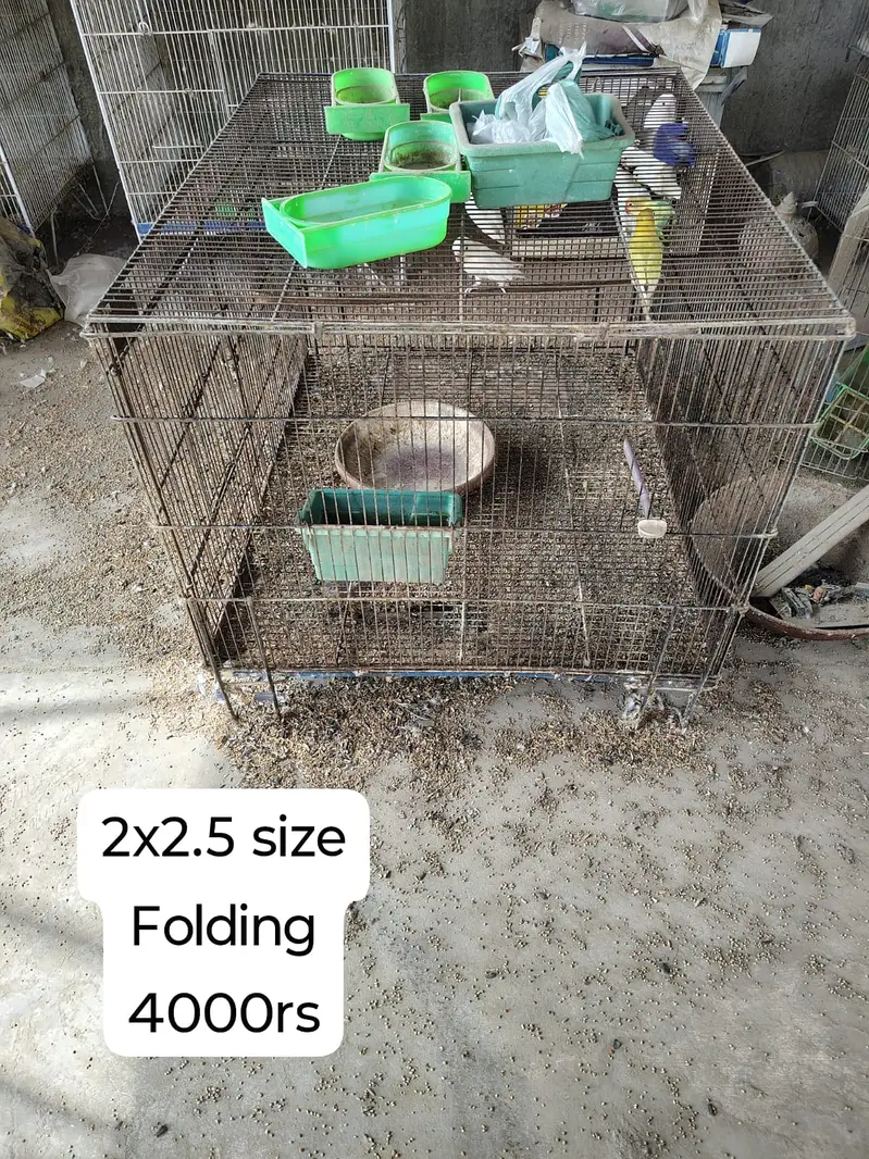 Birds cages — photo 4