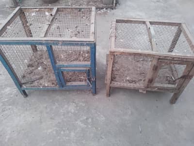 cage 2 only 1000
