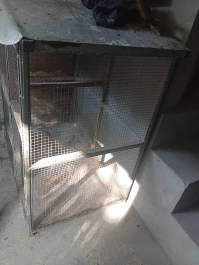 cage for hens and parrots