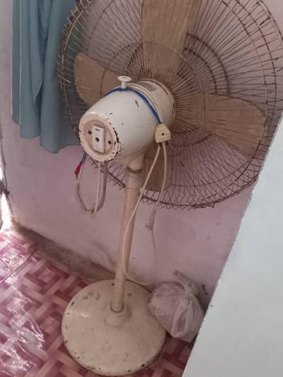 stand fan