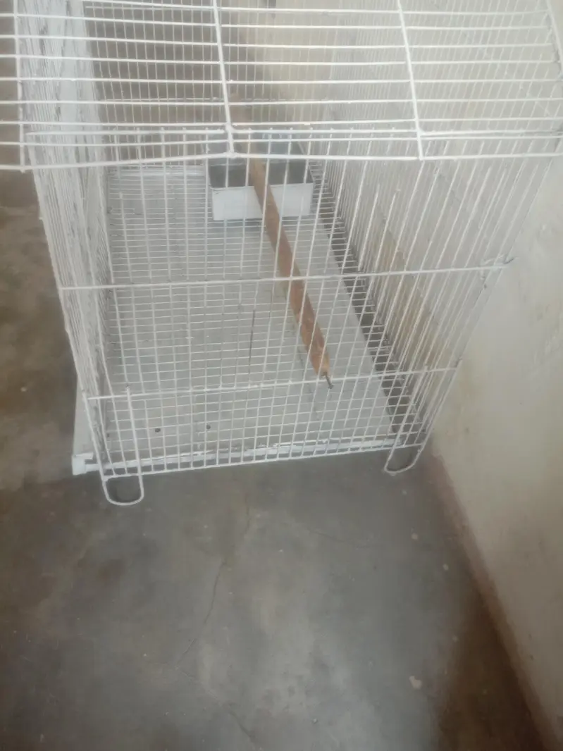 Cage for sale — photo 2
