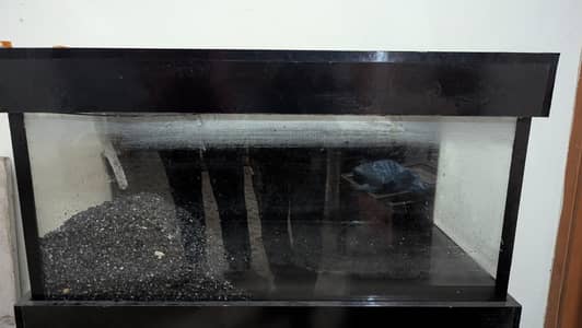 aquarium