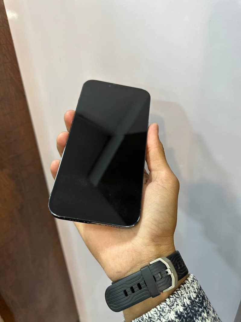 Apple iPhone 13 Pro Max 10