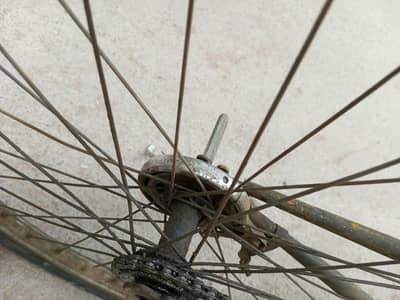 26 number cycle