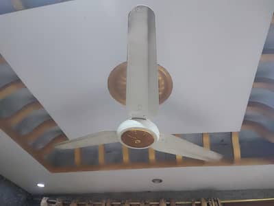 AC DC Fan