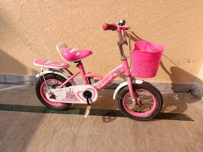 Pink Kids Bicycle with Front Basket & Rear Seat
