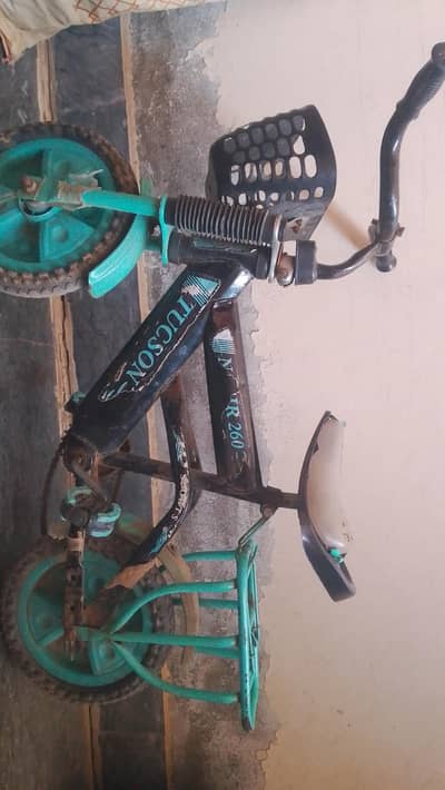 Girl Bicycle