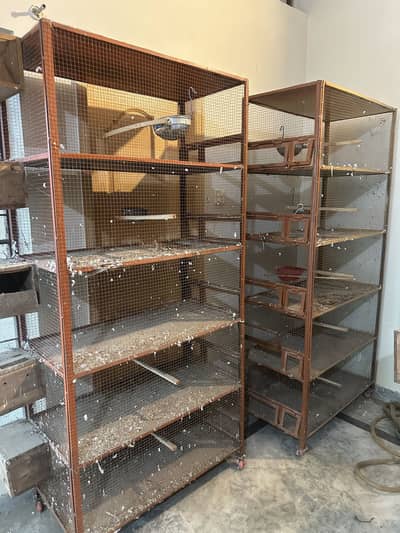 Cages in Best Condition High Grade Metal