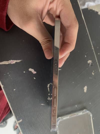 Apple iPhone 12 Pro Max pta approved