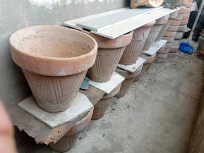 Plant Pots for sale