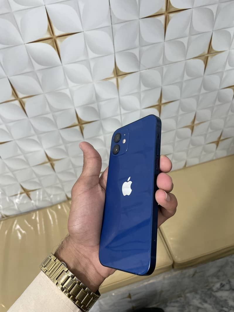 Apple iPhone 12 1