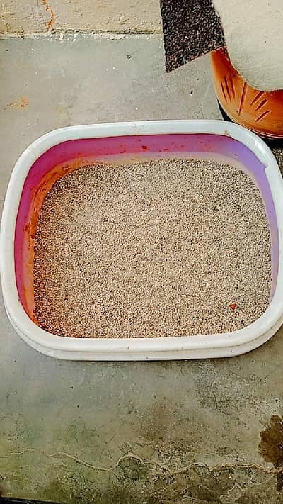 litter box with scope