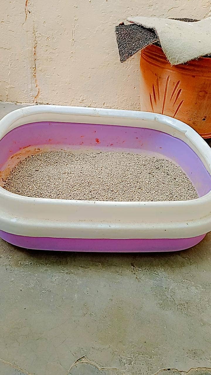 litter box with scope 1