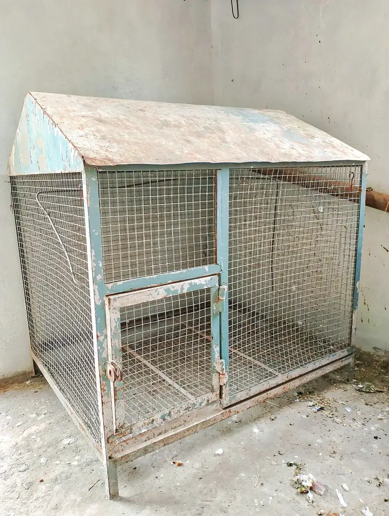 Iron Cage — photo 2