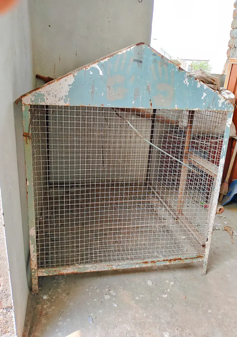 Iron Cage — photo 3