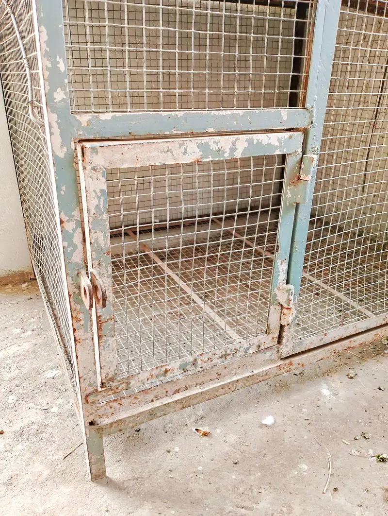 Iron Cage — photo 4