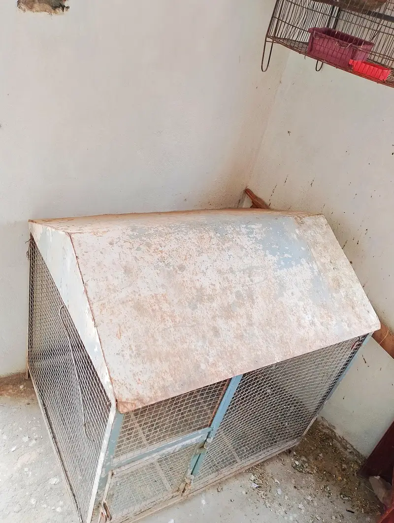 Iron Cage — photo 6