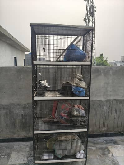 4 portion cage for birds