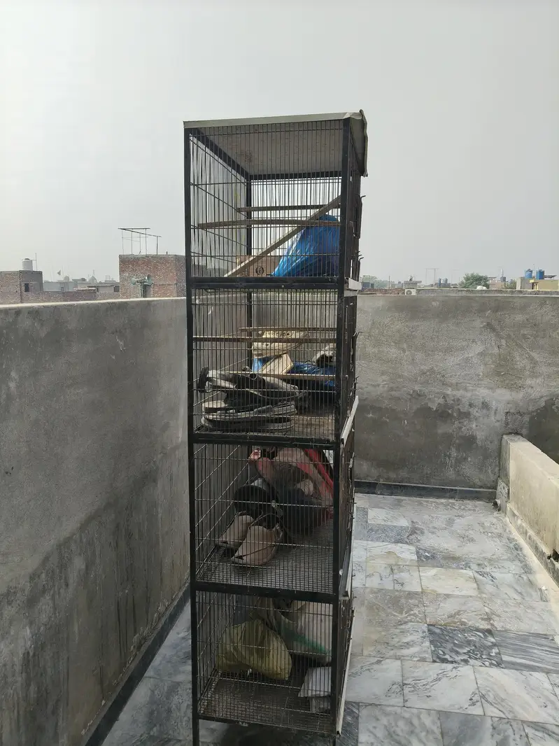 4 portion cage for birds — photo 2