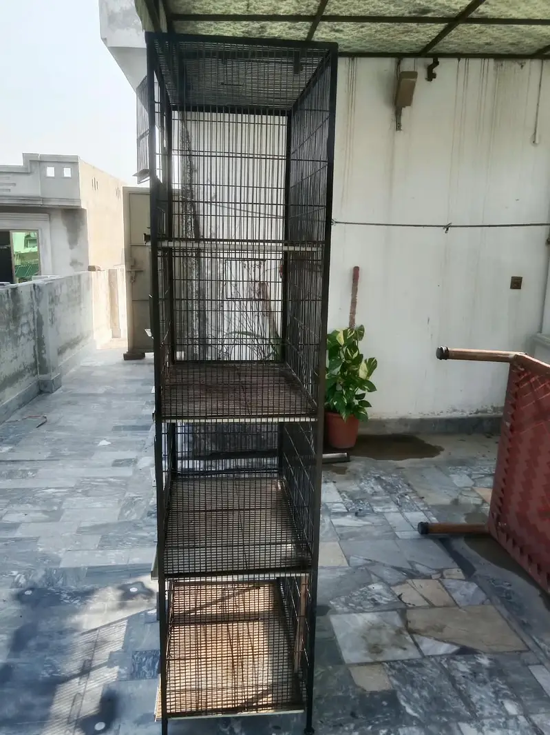 Bird Cage Noorabad Sialkot — photo 2