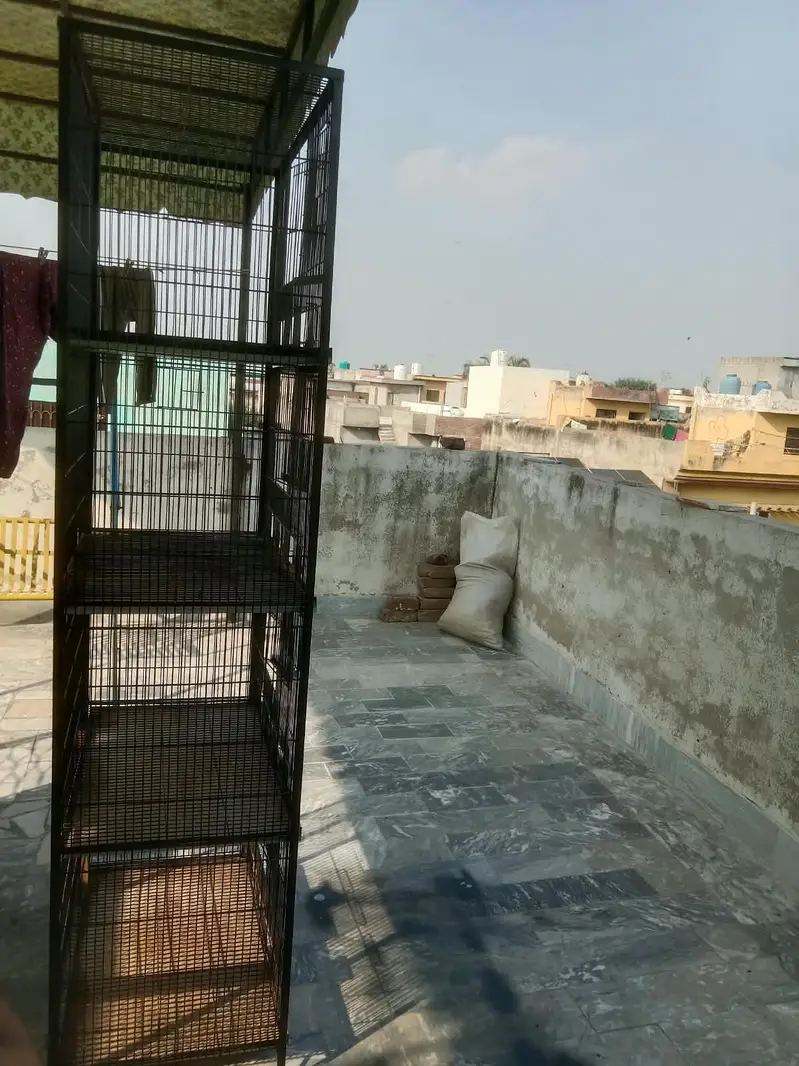Bird Cage Noorabad Sialkot — photo 3