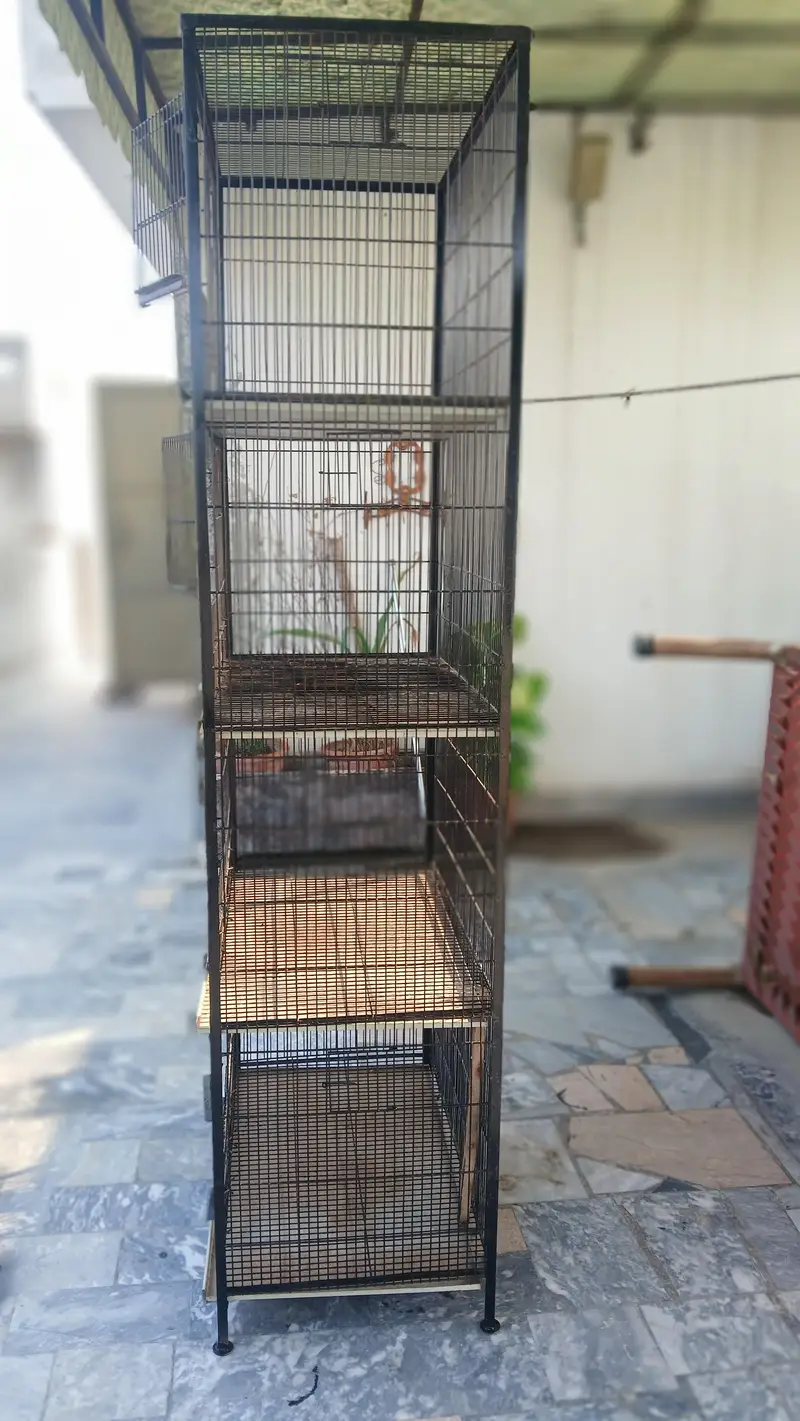 Bird Cage Noorabad Sialkot — photo 4
