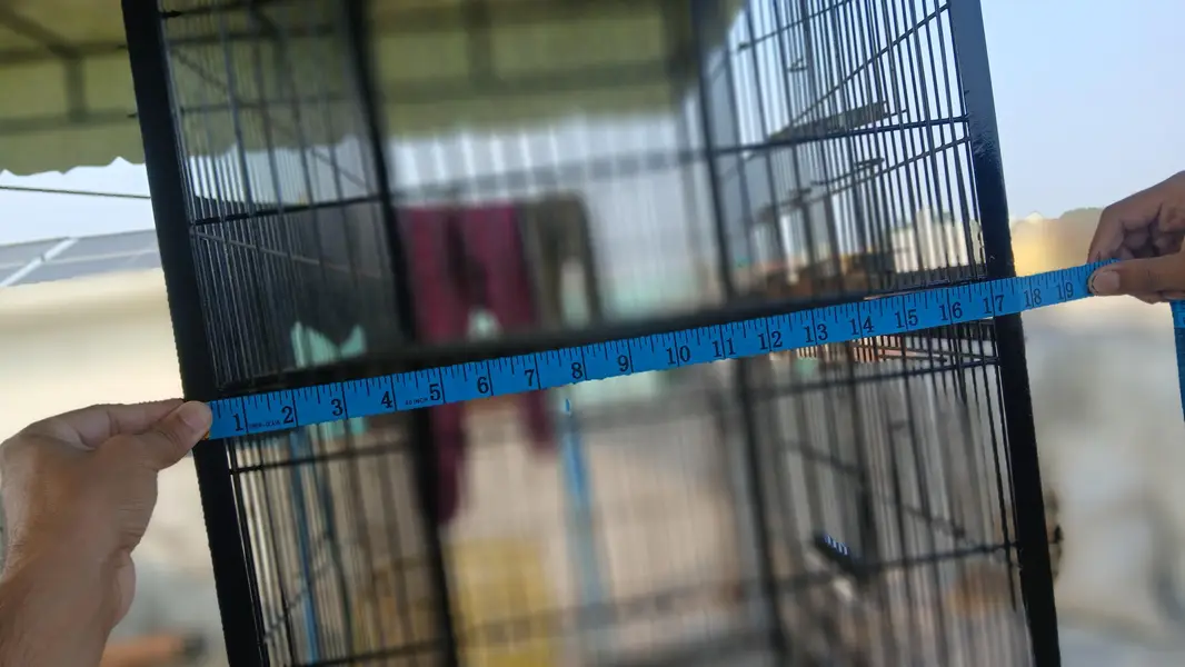 Bird Cage Noorabad Sialkot — photo 8