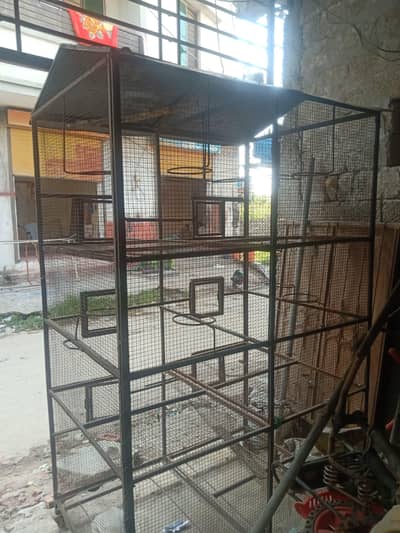 pinjra for sale