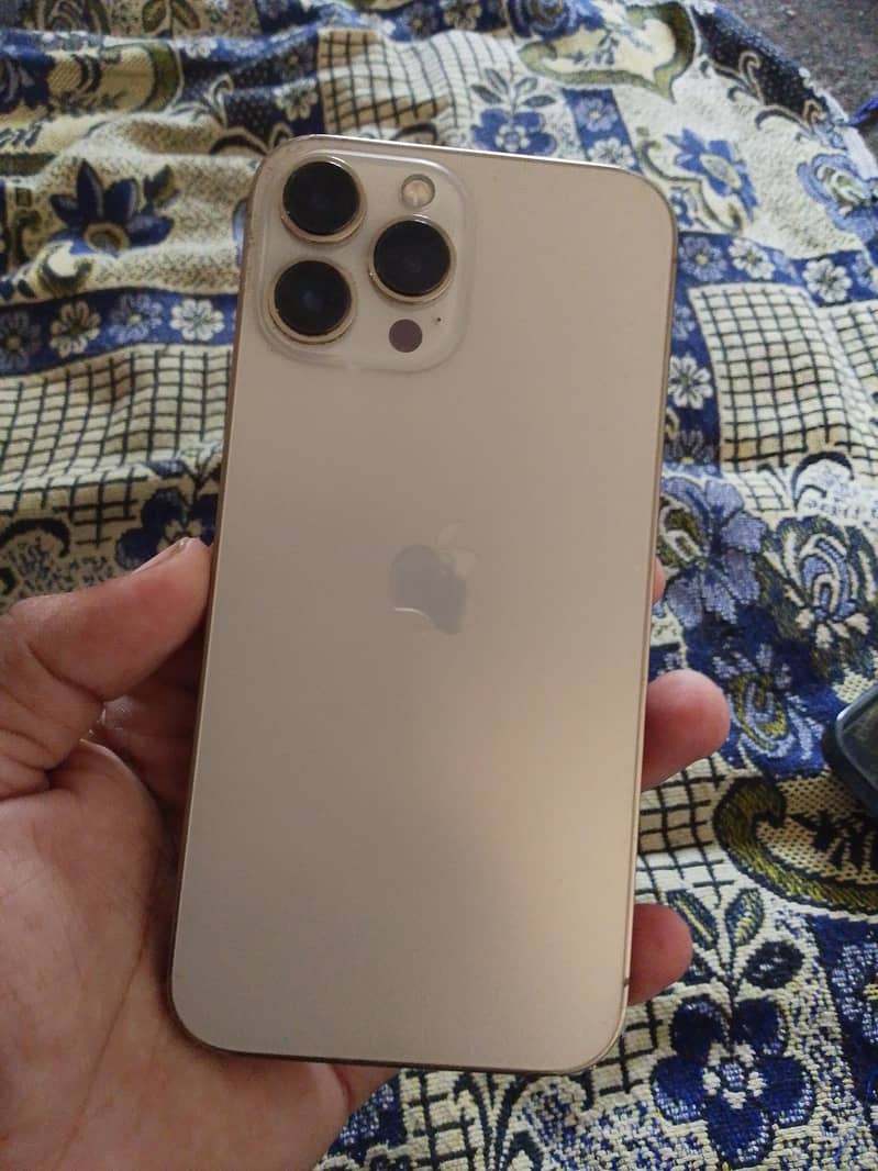 Apple iPhone 13 Pro Max 0