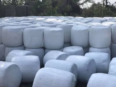 Silage Bales for Sale in Pakistan / Dairy & Livestock Feed