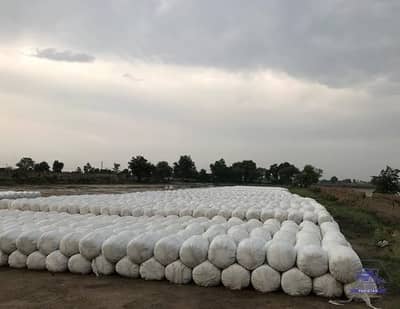 Silage Bales for Sale in Pakistan / Dairy & Livestock Feed