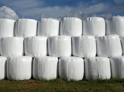 Premium Quality Silage Bales for Dairy Farms & Livestock Feed