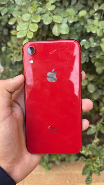 Apple iPhone XR