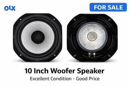 10 Inch Woofer Speaker | Excellent Condition | Powerful Bass