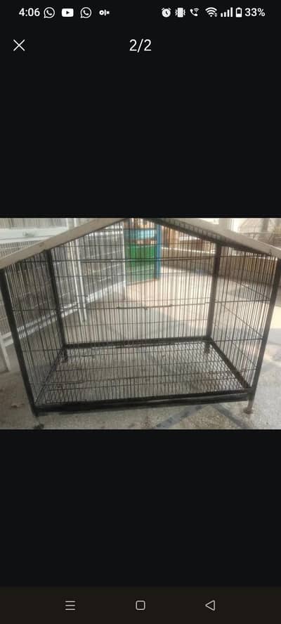 heavy birds cages for sale