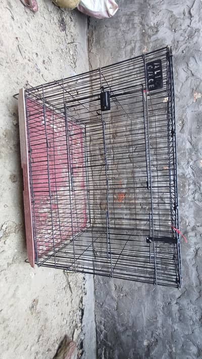 Birds Folding Cage For sell