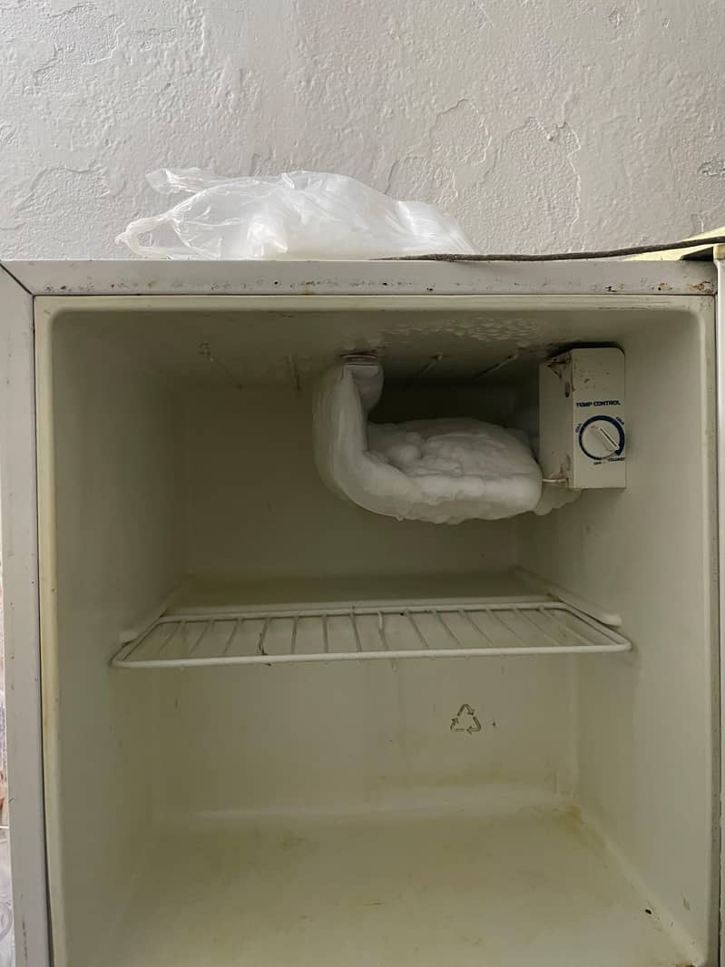freezer 1