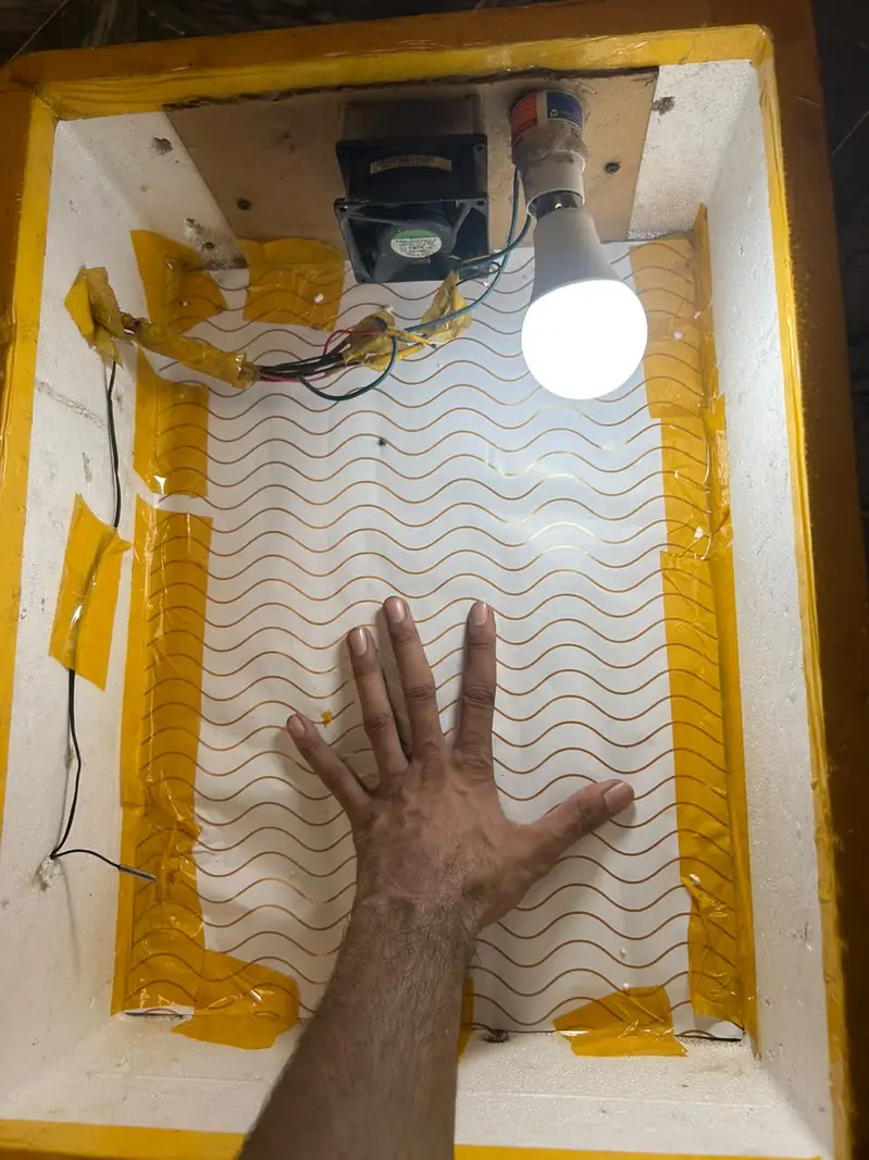 manual or semi automatic eggs inclubator 70 eggs vla — photo 9