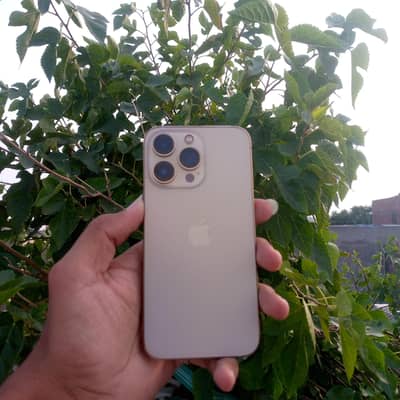 Apple iPhone 13 Pro
