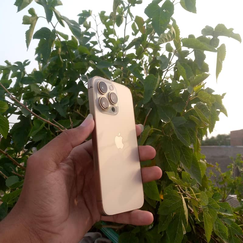 Apple iPhone 13 Pro 1