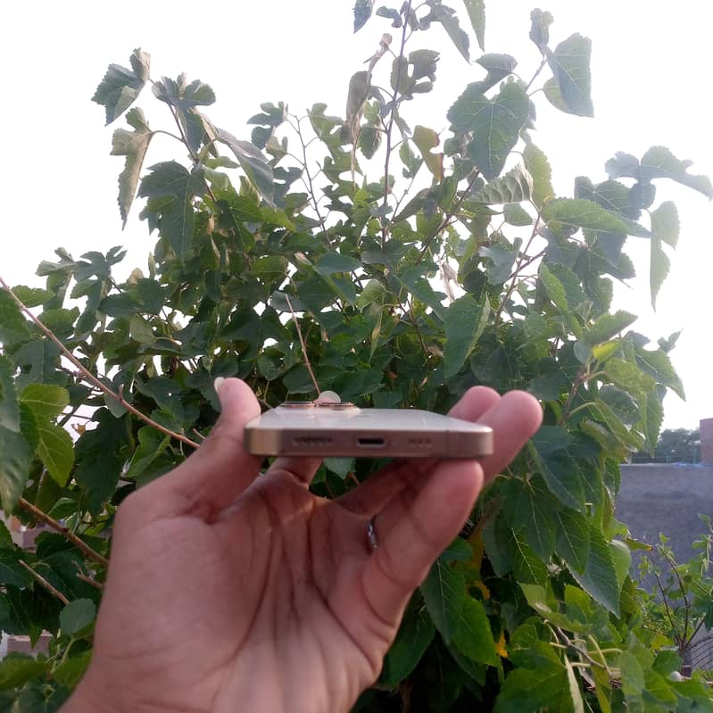 Apple iPhone 13 Pro 2